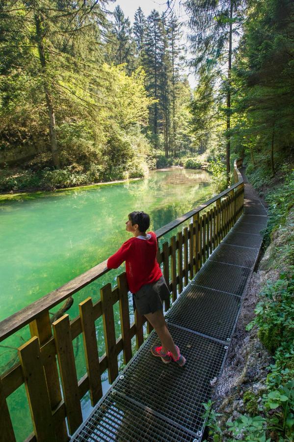 "Le Petit Paradis" Au Centre Ville D'Oyonnax Dış mekan fotoğraf