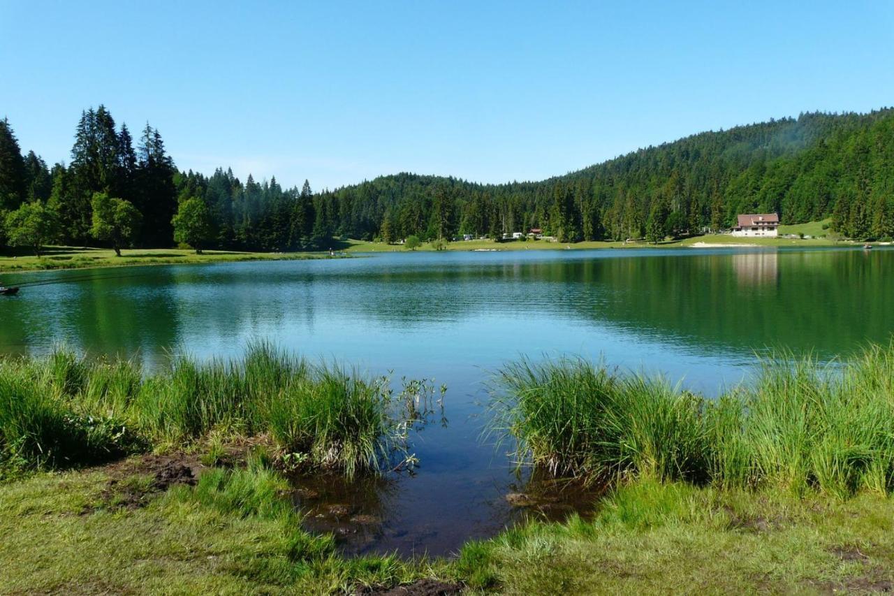 "Le Petit Paradis" Au Centre Ville D'Oyonnax Dış mekan fotoğraf